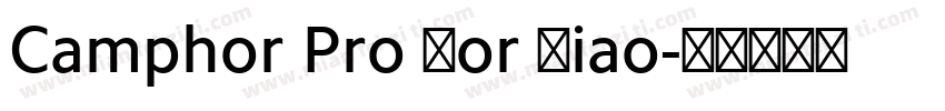 Camphor Pro For Xiao字体转换